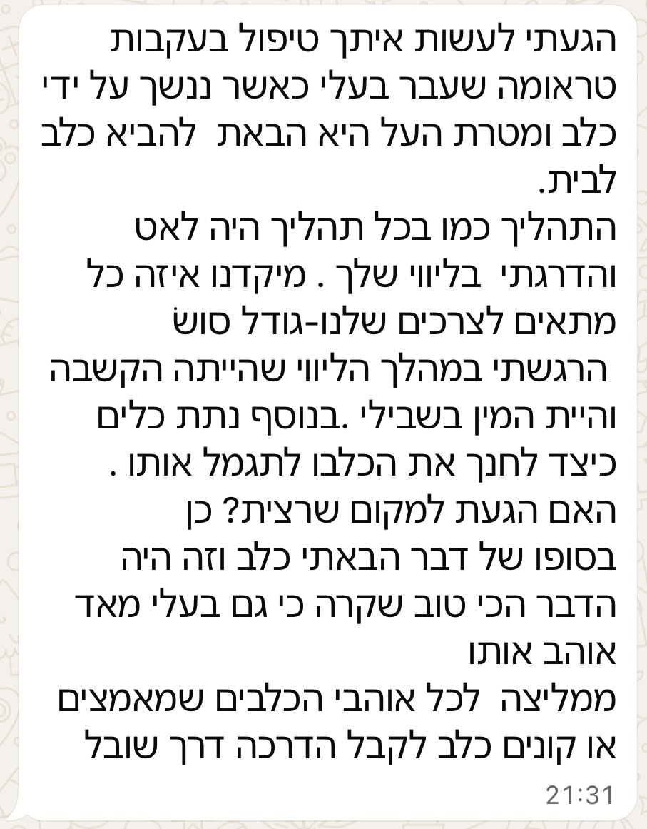 המלצה מלקוח 8