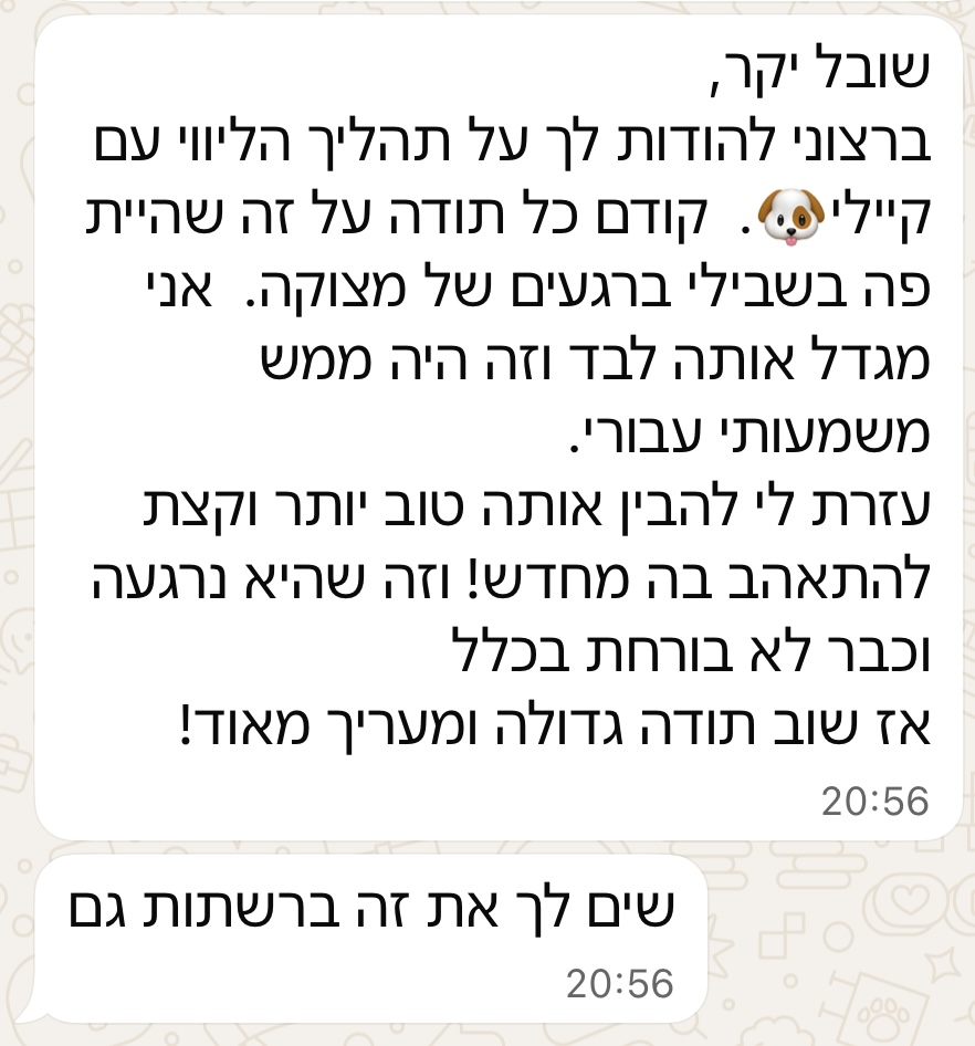 המלצה מלקוח 4