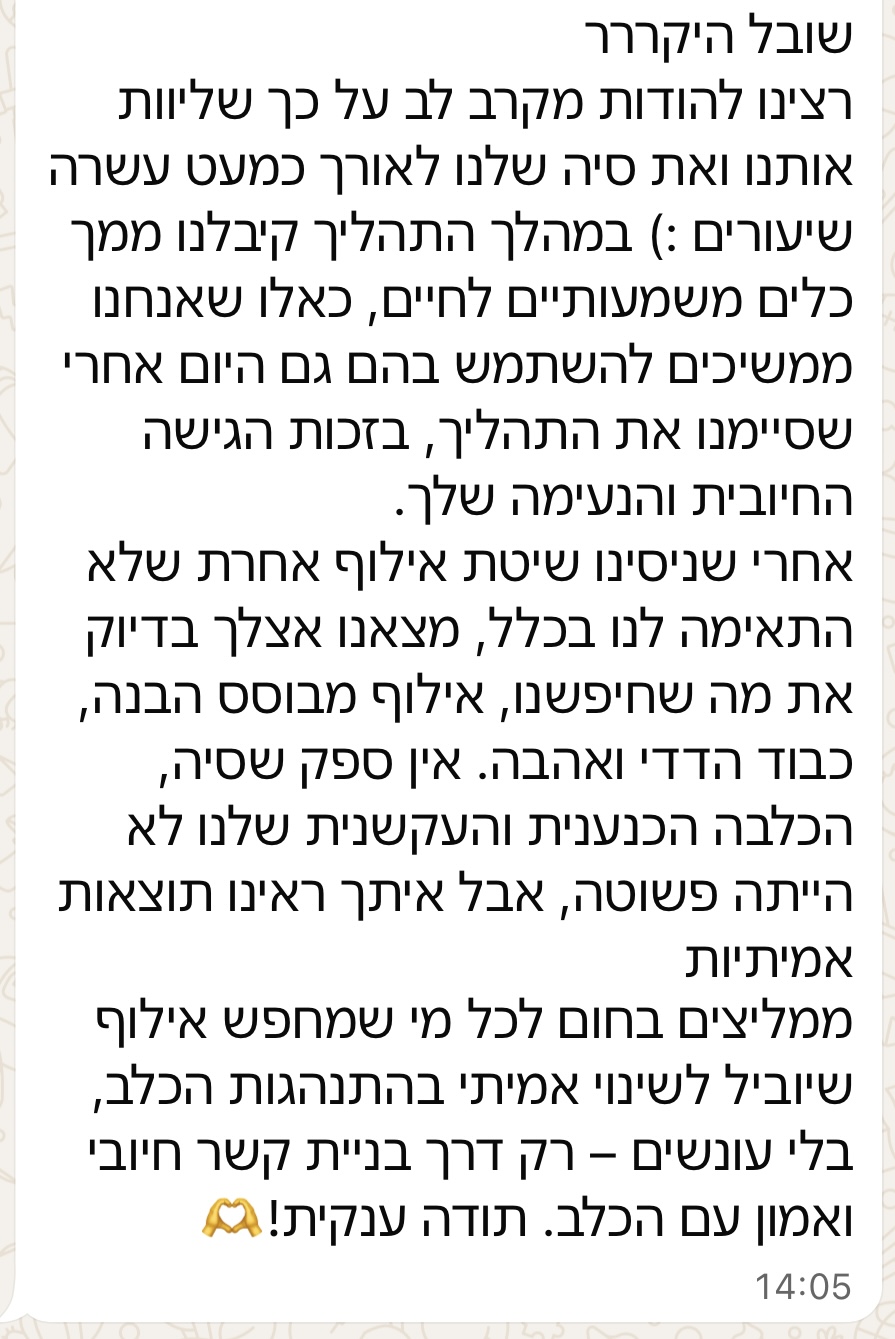 המלצה מלקוח 6